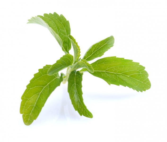 erylite (erythritol) und stevia 1:1 | zuckerersatz | ernährung