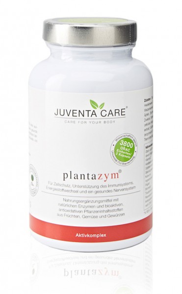 plantazym - 26 Obst- und Gemüsextrakte, pflanzliche Enzyme und Gewürze